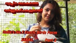 Exotic Birds Farm Visit @ Alappuzha Part II || Our Dream Factory