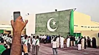 PISJ-ES thumbed painted Pakistani Flag