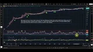 Bitcoin Bear Market or Bitcoin Black Swan Crash? Facts in the charts show what is coming.