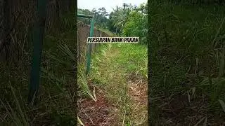Persiapanal Bank Pakan. #reel#sorotn#sobatngaritlampung