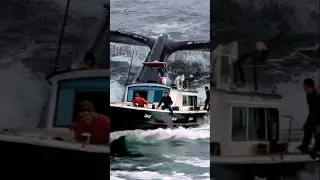 Huge Whale Rams Fishing Vessel,.🛥️🐋 #deepsea #giantcreatures