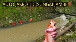 AUTO JAKPOT‼️ mancing ikan nilem teknik nutul di sungai jambe temanggung