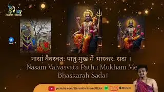 Shani Vajrapanjara Kavacham | Healing Mantra by Ananth Vikram | Powerful Shani Stotra | #shani🙏