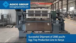 Successful Shipment of 2000 pcs/hr Egg Tray Production Line to Kenya