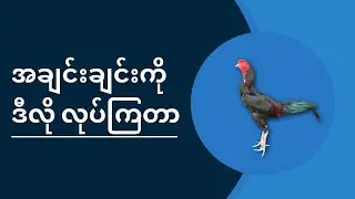 ကိုယ့်လူ သူ့ဖက်သားဆိုတာ ဒီလိုမျိုးလား ?