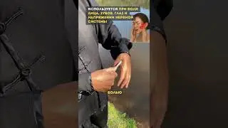 Боль лицевого нерва или паралич? В ТКМ начинают с точки Хэ-гу