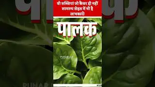Spinach Secrets: Nutrition That Protects You Naturally!