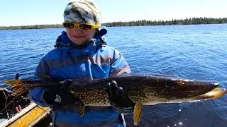 Big Pike Off The Dock At Brace Lake