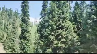 TENGDHAR- A BEAUTIFUL VILLAGE