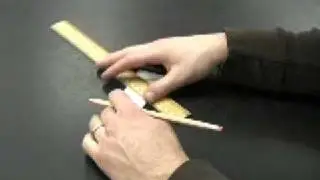 Хроматография пигментов листьев