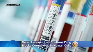 Finding A Cure: Texas Research Lab Confirms Drug Blocks Coronavirus In Human Cells
