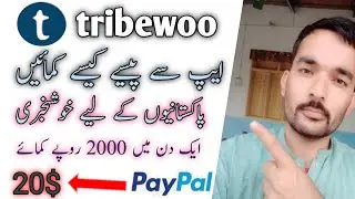 tribewoo sa pasa kasa kamaya earn money from tribewoo