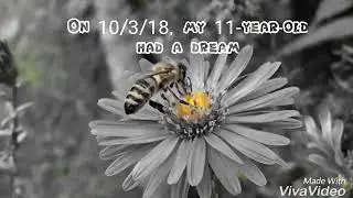 My Son's Dream of Bees / An Attack Coming?