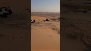 Pure nature camp in Abu Dhabi desert