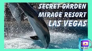 LAS VEGAS TO DO | Secret Garden MIRAGE CASINO & RESORT | Family Fun  |  LIONS & TIGERS | DOLPHIN