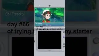 66th day of trying to #shinyhunt a treecko in #pokemon oras