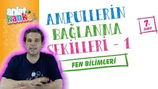 Ampullerin Bağlanma Şekilleri - 1 7. Sınıf
