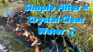 Simplest of Pond Filters = Crystal Clear Water 💦💦💦