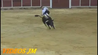 Brihuega Concurso de Recortes 2024