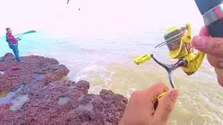 Mancing Ikan Kembung