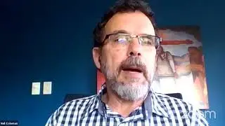 Chris Hani Institute - Political Economy Series: Universal Basic Income Guarantee