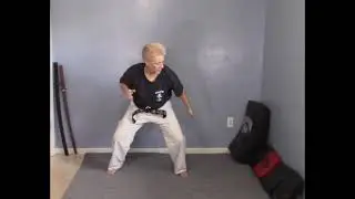 Tracy Kenpo Karate Purple Belt Lesson 8