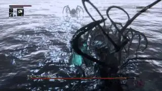 Bloodborne-Byrgenwerth/Moonside Lake: How to Co-op Ron the Vacuuming Spicerack