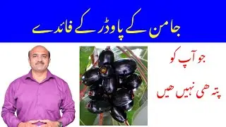 Health Benefits Of Jamun Powder | Jamun Kay Powder Kay Faiday | Jamun Juice Benefits