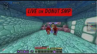Donut SMP | Rating Bases (More for better base)| Gambling | Auctions