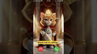 Royal cute cat is calling you #royalcat #millionviewsrington #shorts #videocall #catcalling