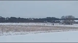 spacer I poszukiwania zwierząt