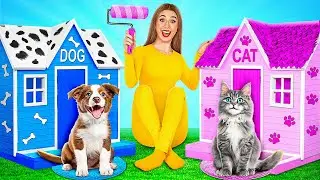Evcil Hayvanlar i&ccedil;in Gizli Odalar İnşa Ediyoruz | Komik Zorluklar Multi DO Best