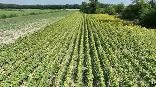 Crosby Land Company Presents: Carver Road Farm