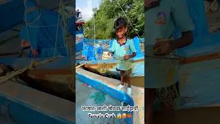ohhhh my god it's a biggest female crab🦀 #crab #shortvideo #viral