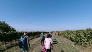 Baranjska Planinarska Obilaznica - 1. Dio