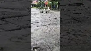 Rainy Day Relaxation: Soothing Rain Sounds for Sleep & Calm #asmr #rain #rainoundforsleep