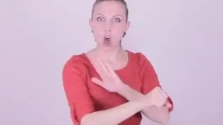 Teckenspr&aring;k - Tvillingen - Ola Aurell - MegaVega (Swedish sign language)