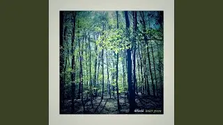 Inner Green, Pl&eacute;nitude (432 Hz)