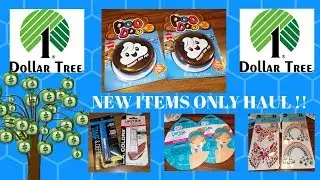 DOLLAR TREE : ONLY NEW ITEMS HAUL !!! AMANDA RANDOM