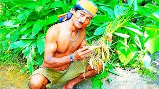 How Our Ancestors Ate Hulang Keeriya | Wild Forest Potato Recipe