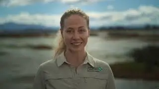 Discover the Unique Biodiversity of Aotearoa New Zealand