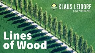 Lines of wood HD