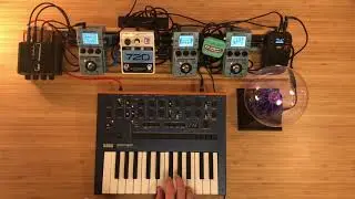 #Jamuary2020 02, Korg Monologue, Zoom MS-70CDR, EHX 720
