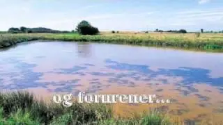 Forurening af fures&oslash;en.m4v