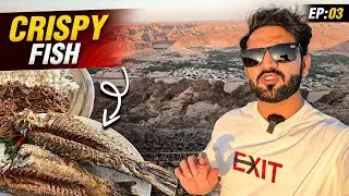 Best Crispy Fish on Our Way in Duba Saudi Arabia | AlUla to Madiyan | Road Trip | Episode 3