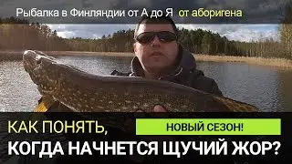 Как определить начало весеннего жора у щуки?