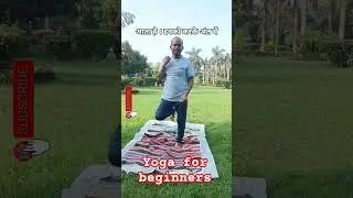 🧘 Yoga for Beginners | Easy Yoga Poses & Benefits | Daily Morning Yoga Practice