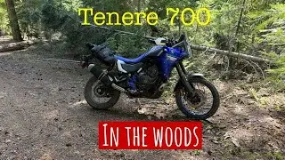 2025 Yamaha T7 on some fun flowing singletrack at Claude Lewis OHV