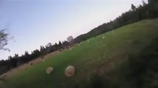 Getting Low - Norcal FPV Style