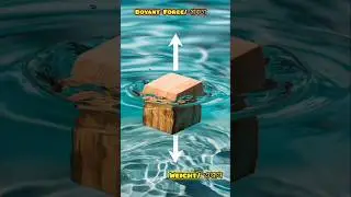 Archimedes Eureka Moment/In Bengali #sciencefacts #archimedesprinciple #physicsfun
